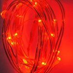 LED Lights on Wire - Red 2m