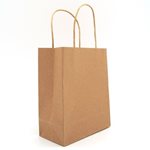 Kraft Carry Bags Medium (10pk) - Brown 205x85x270mmH