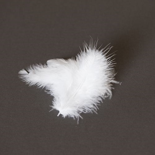 Ostrich Feather 25pk