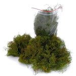 Natural Tree Moss - Green 50gm bag