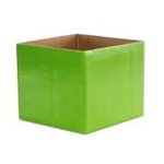 Posy Box - Lime 130x110mmH