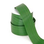 Aspidistra Leaf Ribbon - Green - 50mm x 50yds
