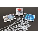 Long Card Forks 100pk - Clear 300mmL