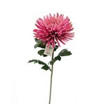 Standard Chrysanthemum Stem - Light Pink