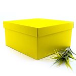 Medium Square Box - Yellow 300mmSq