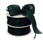 Edged Organza - 38mm x 50m - Forest Green