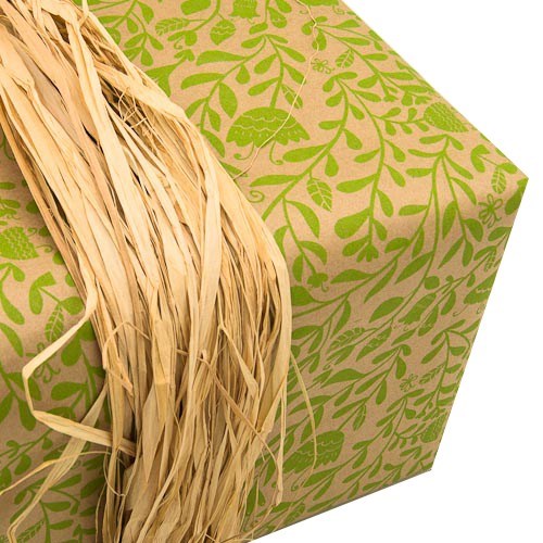Giftwrap Roll - Kraft Floral Lime