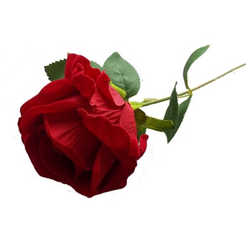 Rose Red - Single Stem