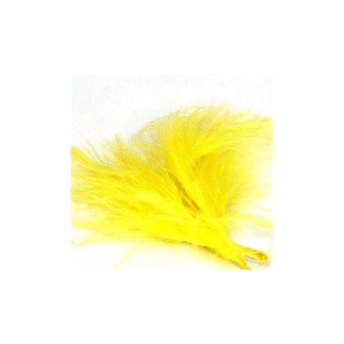 Feathers 50pk