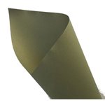 Kraft Paper Roll Sage Green - 600mmx50m