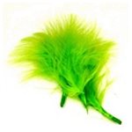 Feathers 50pk - Lime 90mm