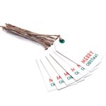 Merry Christmas Tags 10pk - White