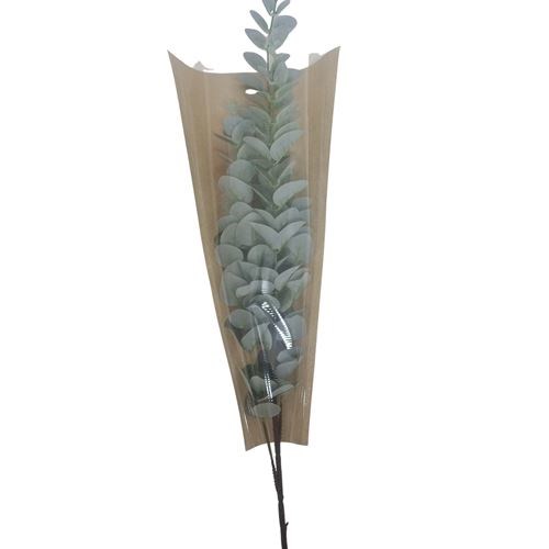 Kraft Flower Sleeves, Cello Front- 10cm B x 25cm W