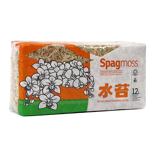 Besgrow Dried SpagMoss