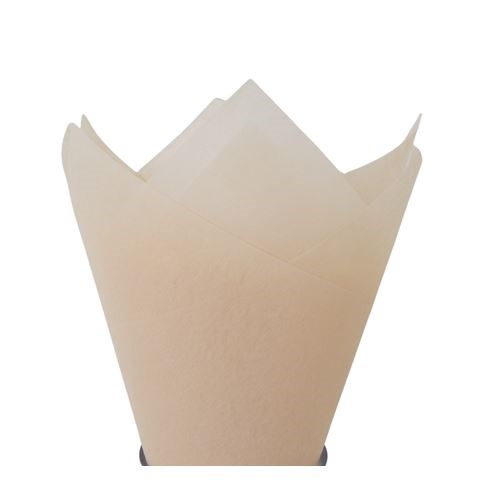 Non Woven Sheets - Champagne