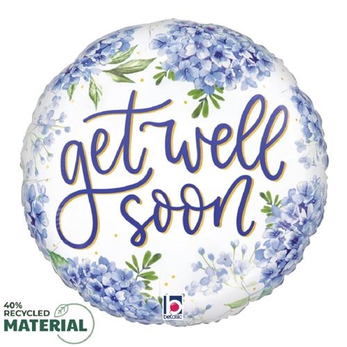 Get Well Soon Hydrangea