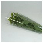 Flower Sleeves Medium 100pk - 450mm Long 250mmTx95mmB